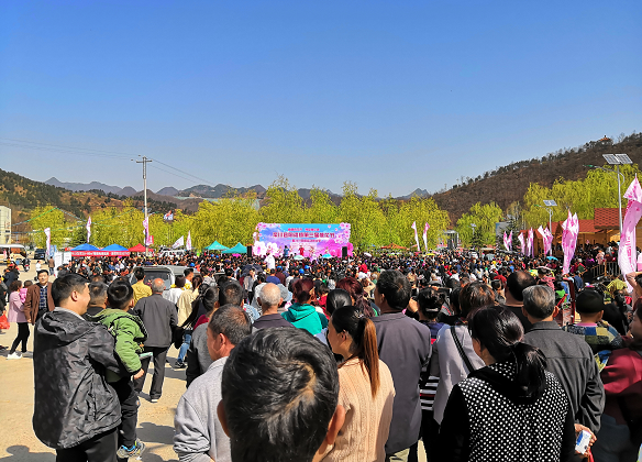 四月阳光正好，栾川县陶湾镇第三届桃花节绚丽来袭！