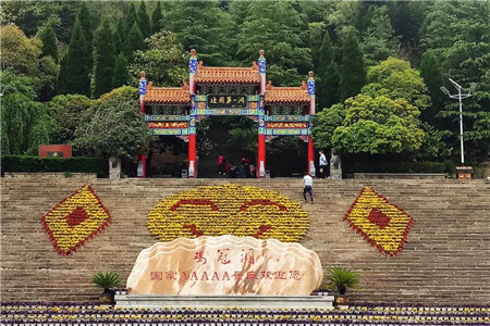 芍药月季齐争艳，鸡冠洞开启“花海”模式！