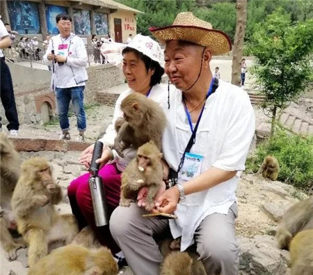 让济源美景“走出去”，“美丽济源”自驾游活动启动！