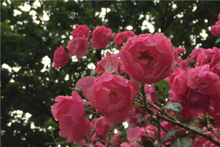 缤纷六月，鸡冠洞邀您开启夏日狂欢！