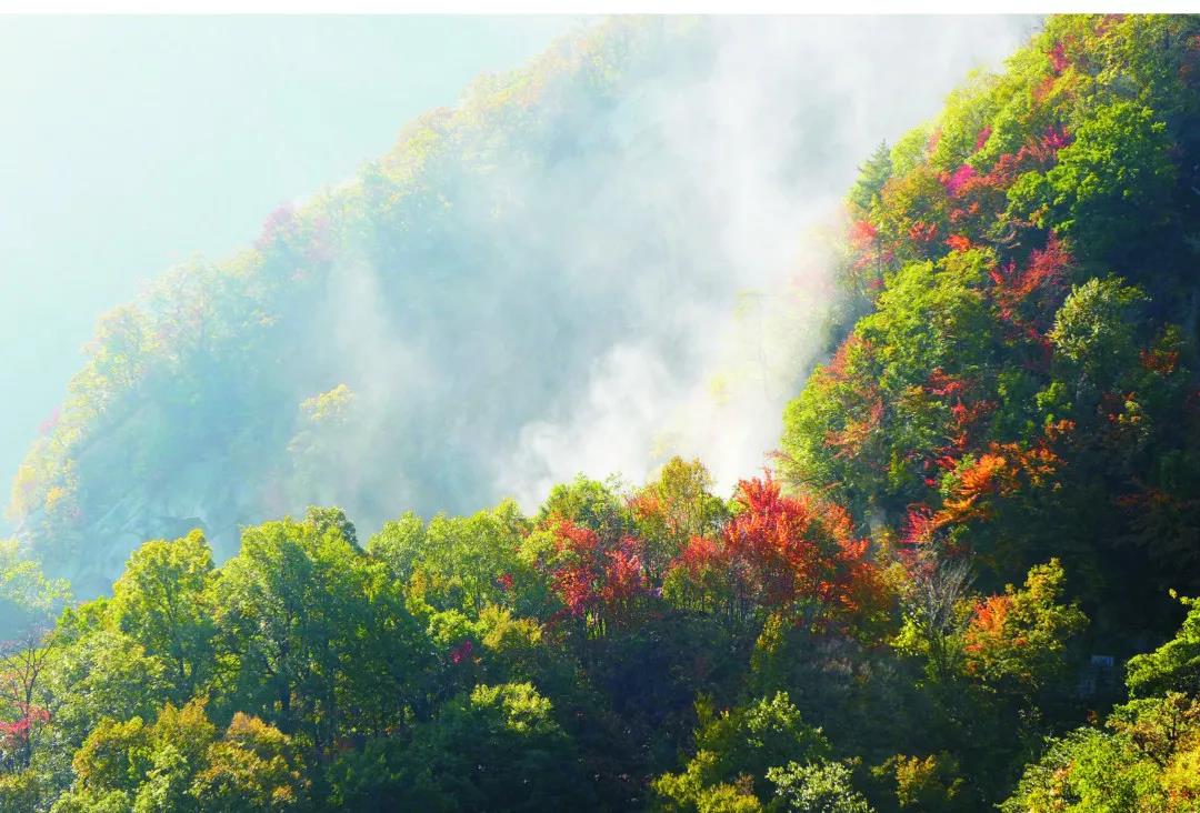 畅游山水秘境大宝天曼,邂逅盛夏清凉!(南阳大宝天曼峡谷漂流) 畅游山水秘境大宝天曼,邂逅盛夏清凉!(南阳大宝天曼峡谷漂流)