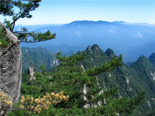 洛阳旅游九月福利出炉，收起来一起嗨！（9月份去洛阳看什么花最好）