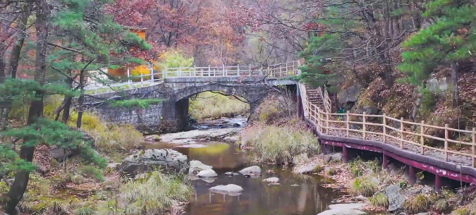 摄影名家荟萃白云山,金秋山色不负盛情之约(白云区摄影) 摄影名家荟萃白云山,金秋山色不负盛情之约(白云区摄影)