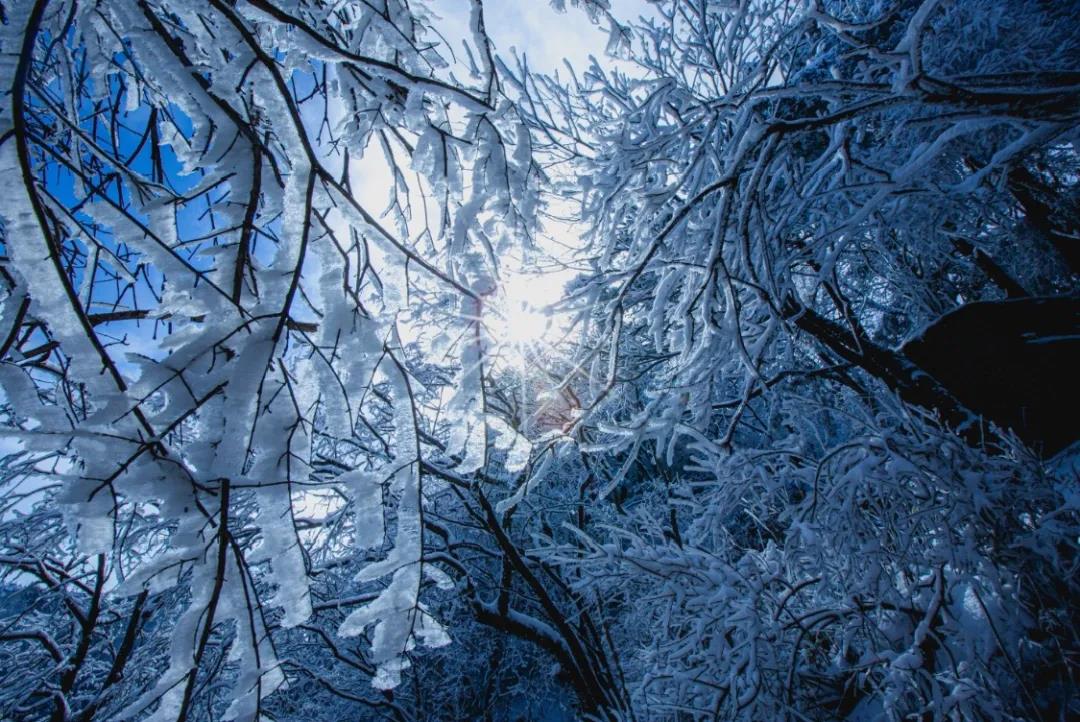 白云山三个月冬日赏雪佳期等你到来!(白云山金戈正式上市一粒48元) 白云山三个月冬日赏雪佳期等你到来!(白云山金戈正式上市一粒48元)