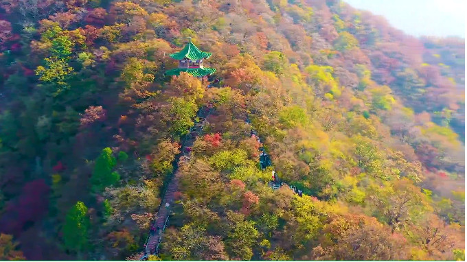 专属福利倒计时!云台山邀你登高赏晚秋,享诗意生活!(云台山秋景最好的地方) 专属福利倒计时!云台山邀你登高赏晚秋,享诗意生活!(云台山秋景最好的地方)