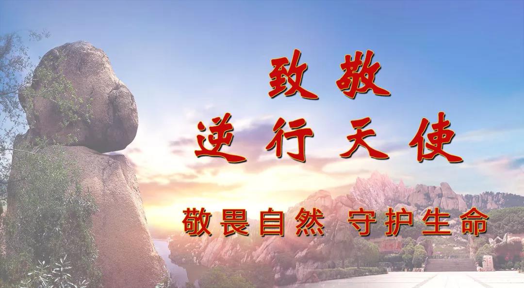 致敬“逆行天使”！嵖岈山景区2020年向全国医护工作者免费开放！（崀山医护人员免费吗）