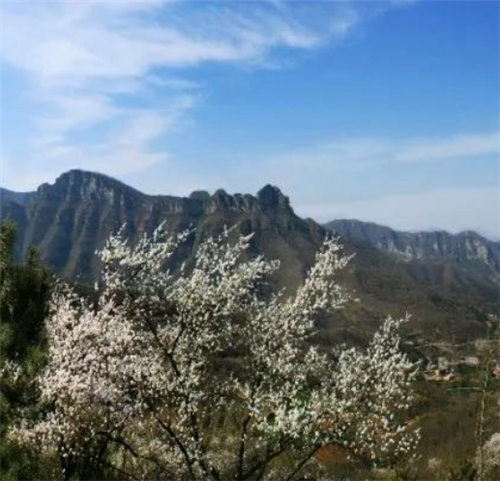 巩义浮戏山:邀您线上踏青,共赏初春诗意(巩义浮戏山逍遥谷度假民宿) 巩义浮戏山:邀您线上踏青,共赏初春诗意(巩义浮戏山逍遥谷度假民宿)