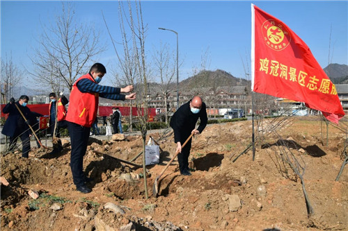 植树添绿正当时,鸡冠洞人在行动!(鸡冠洞怎么样游玩多长时间) 植树添绿正当时,鸡冠洞人在行动!(鸡冠洞怎么样游玩多长时间)