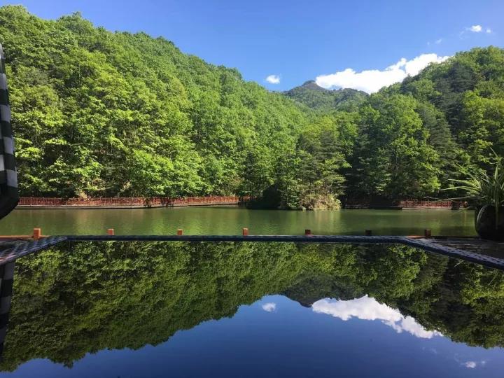 一到春天，就想去白云山了！
