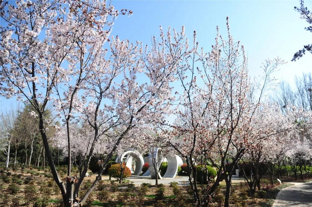 公告|郑州绿博园将于3月21日恢复开放