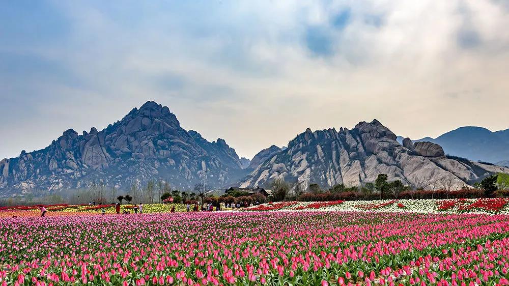 3月22日起，嵖岈山景区恢复开放！（嵖岈山风景区推出免票及优惠政策）