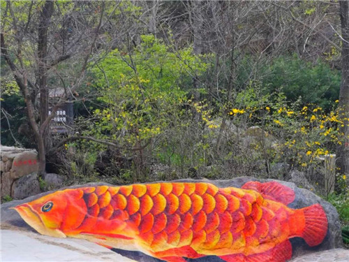 “度假天堂”变脸“童话世界”，“生态游乐园”变身“趣味动物园”，这个景区玩着很“嗨