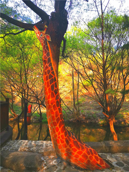 “度假天堂”变脸“童话世界”，“生态游乐园”变身“趣味动物园”，这个景区玩着很“嗨