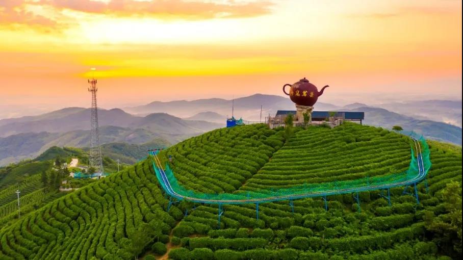 清明自驾西九华,采茶赏花看表演(西九华山旅游攻略) 清明自驾西九华,采茶赏花看表演(西九华山旅游攻略)