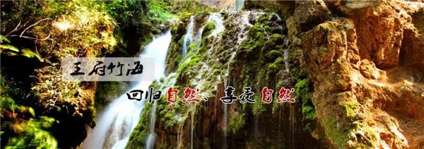 奇境栾川入夏避暑之王府竹海，最年轻的4A级景区全攻略！（栾川王府竹海门票）