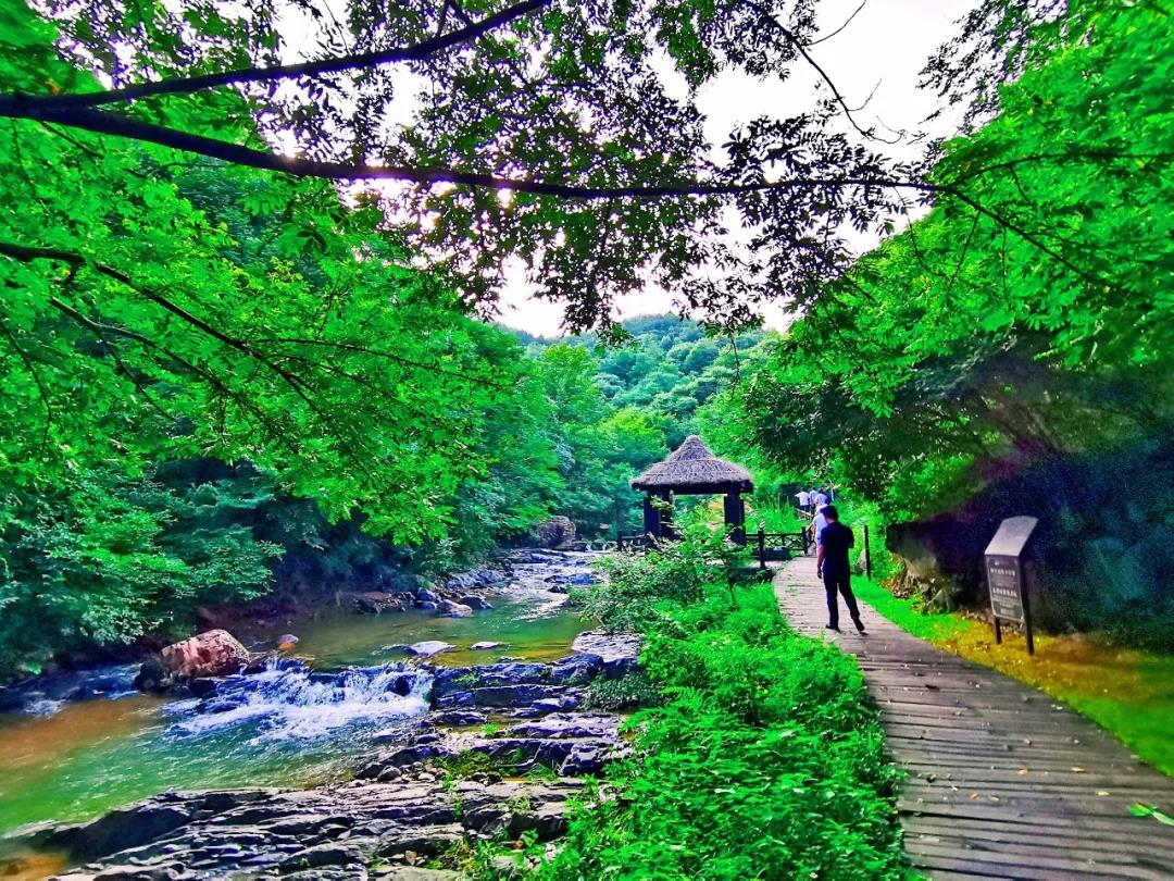 暑期钜惠 | 西九华山景区对信阳市民半价!(信阳市西九华山门票) 暑期钜惠 | 西九华山景区对信阳市民半价!(信阳市西九华山门票)