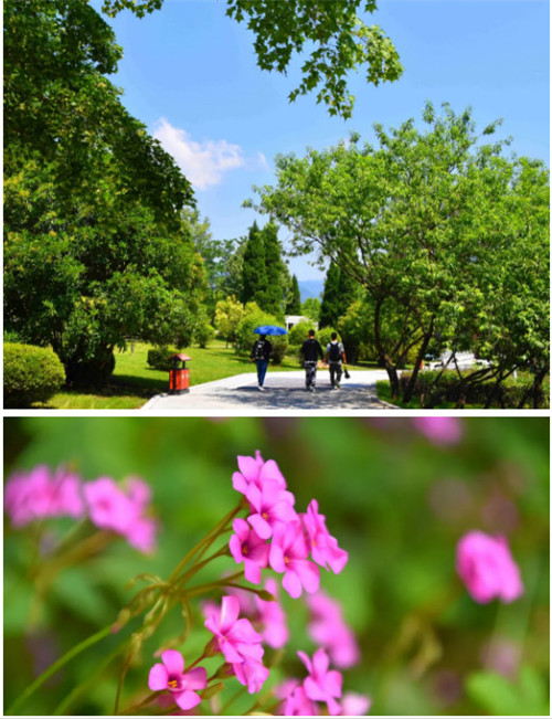 热浪来袭，来鸡冠洞邂逅18℃的夏天！