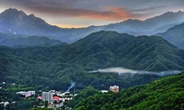 在西峡近郊，竟然还有这样的宝藏地？赏花、采摘、一样都不少！