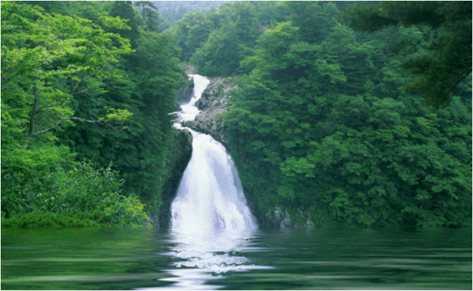 这个夏日来南召大宝天曼开启避暑之旅！（南召大宝天曼度假区怎么样）
