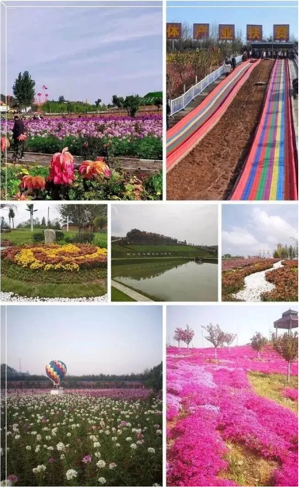 特色研学游!西峡夏令营之旅火热集结中(研学旅行特色体验怎么写) 特色研学游!西峡夏令营之旅火热集结中(研学旅行特色体验怎么写)