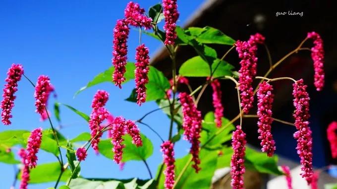 纯干货分享——万仙山游行随记（万仙山景区视频）