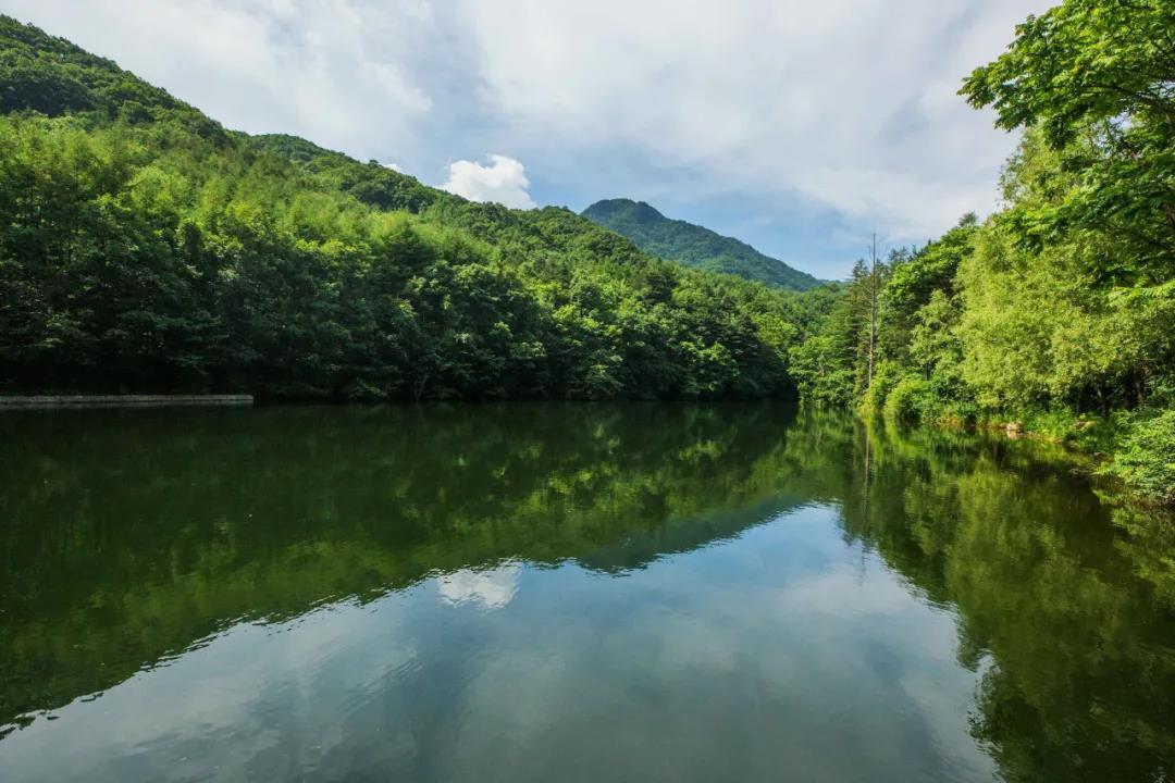 明丽而静美！白云山正散发着秋的味道