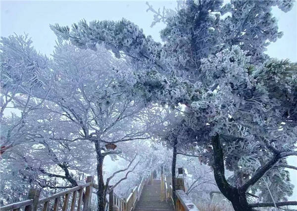 雪后的老君山惊艳了整个冬天