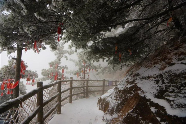 雪后的老君山惊艳了整个冬天