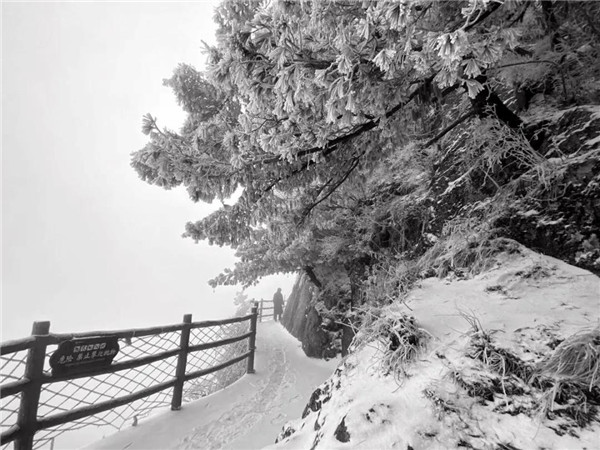 雪后的老君山惊艳了整个冬天