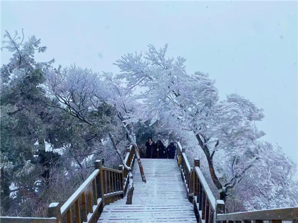 雪后的老君山惊艳了整个冬天