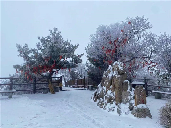 雪后的老君山惊艳了整个冬天