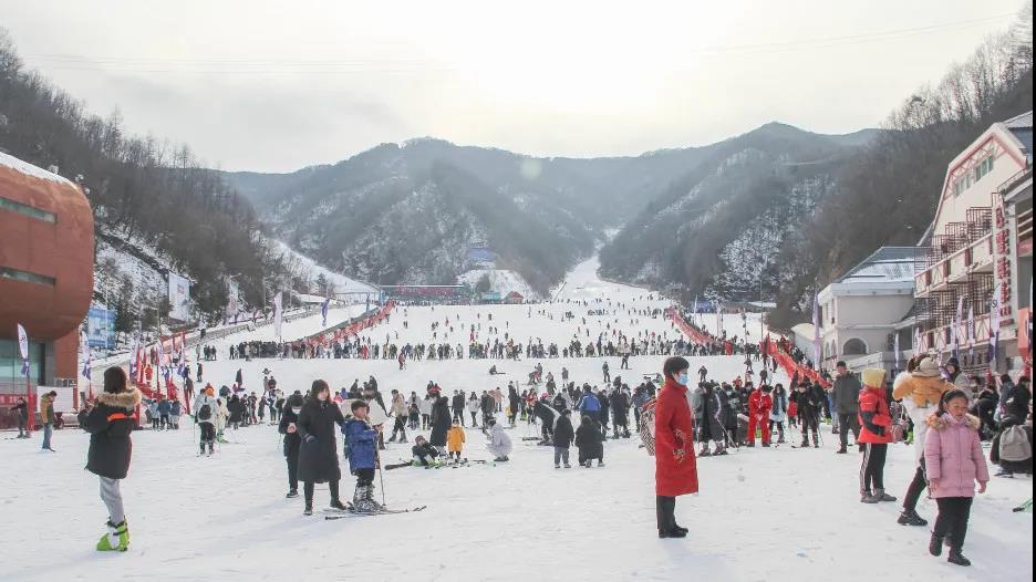 元旦小长假，栾川冬季假日旅游逆势上扬！