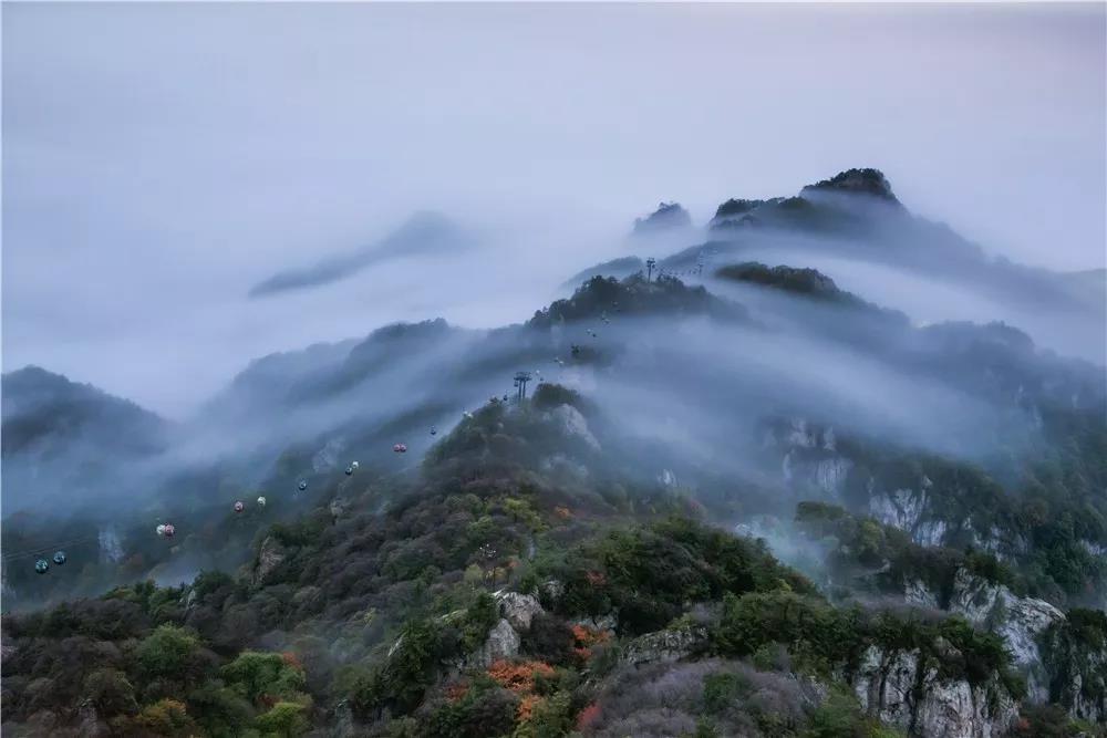 重阳节，陪父母一起来老君山登高赏秋！