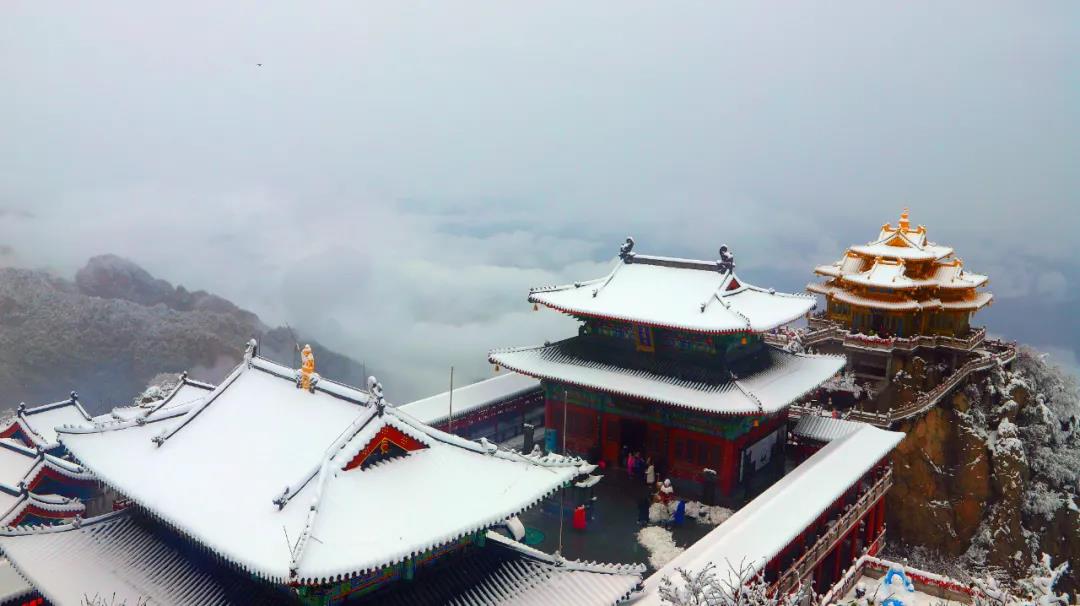 来了！鹅毛大雪！老君山入秋第二场雪强势登场！