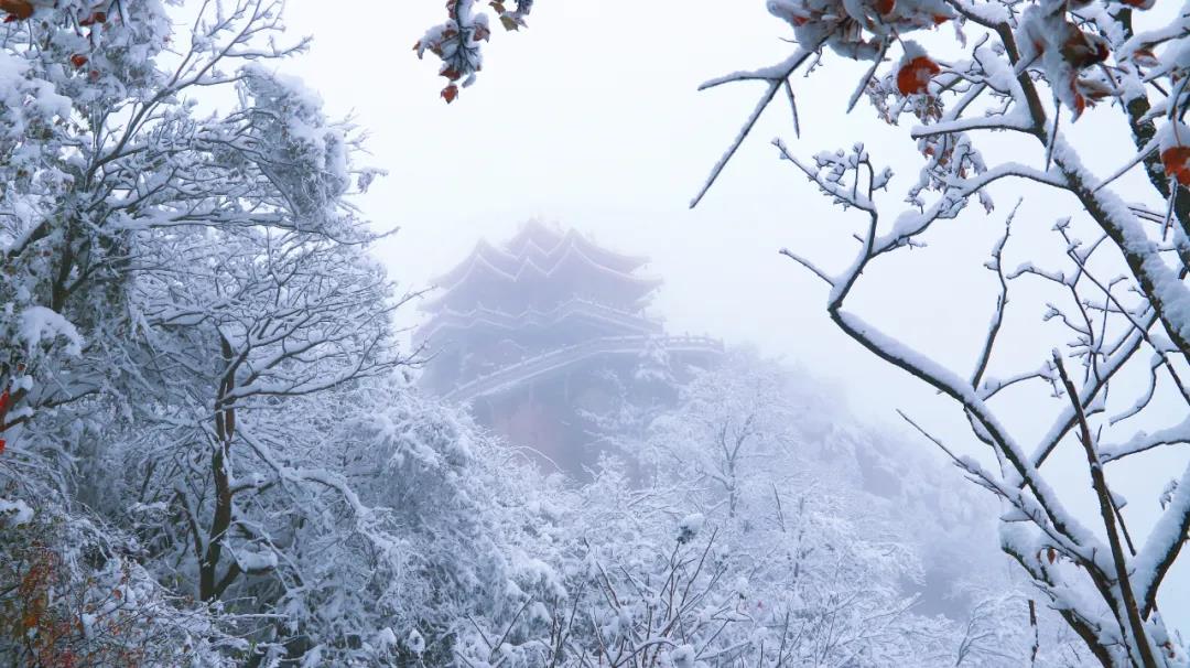 来了！鹅毛大雪！老君山入秋第二场雪强势登场！