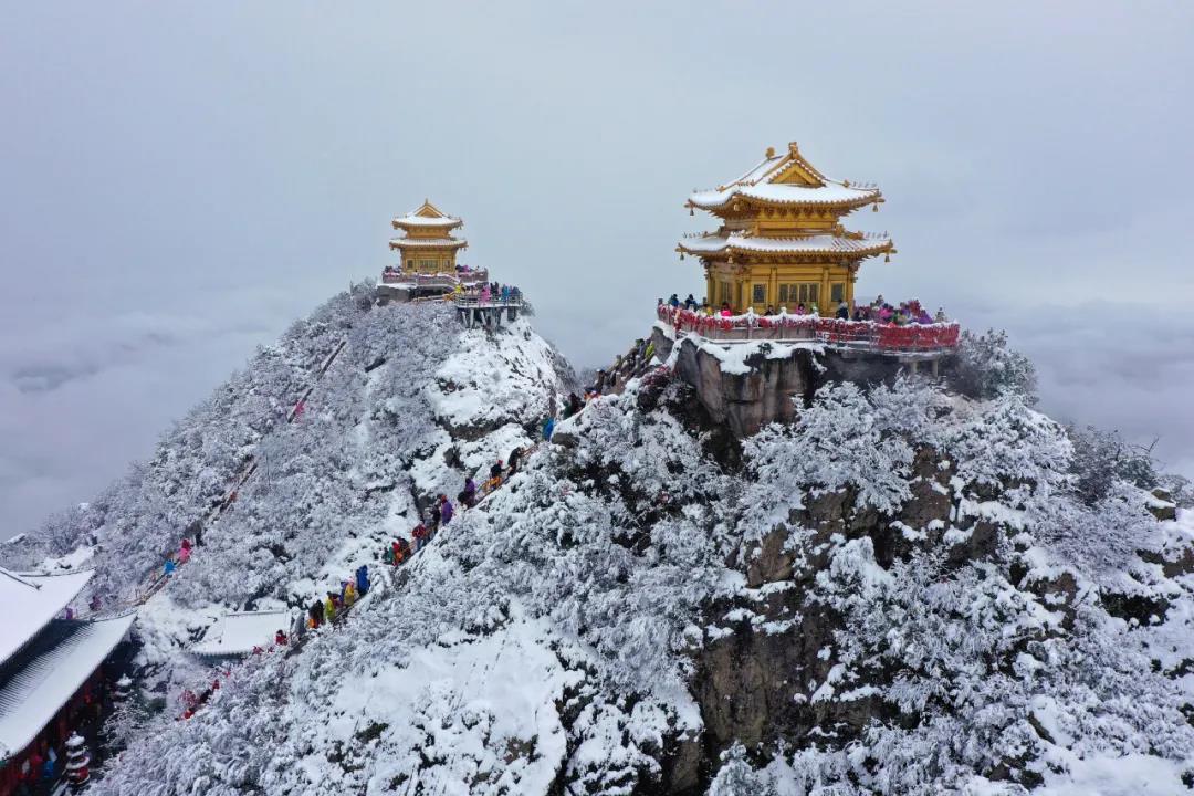 来了！鹅毛大雪！老君山入秋第二场雪强势登场！