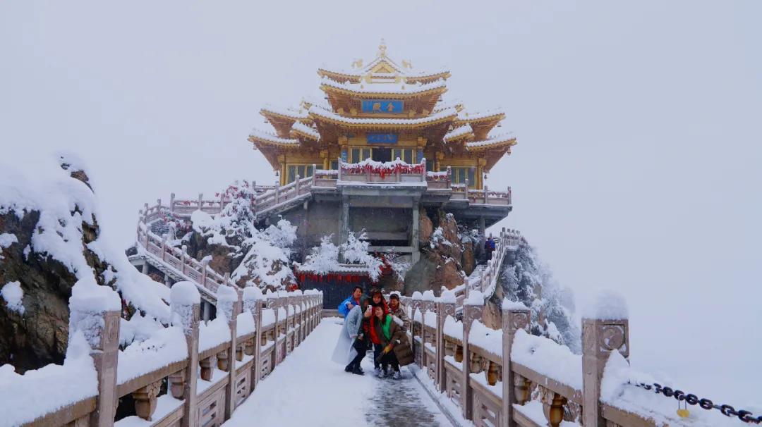 来了！鹅毛大雪！老君山入秋第二场雪强势登场！