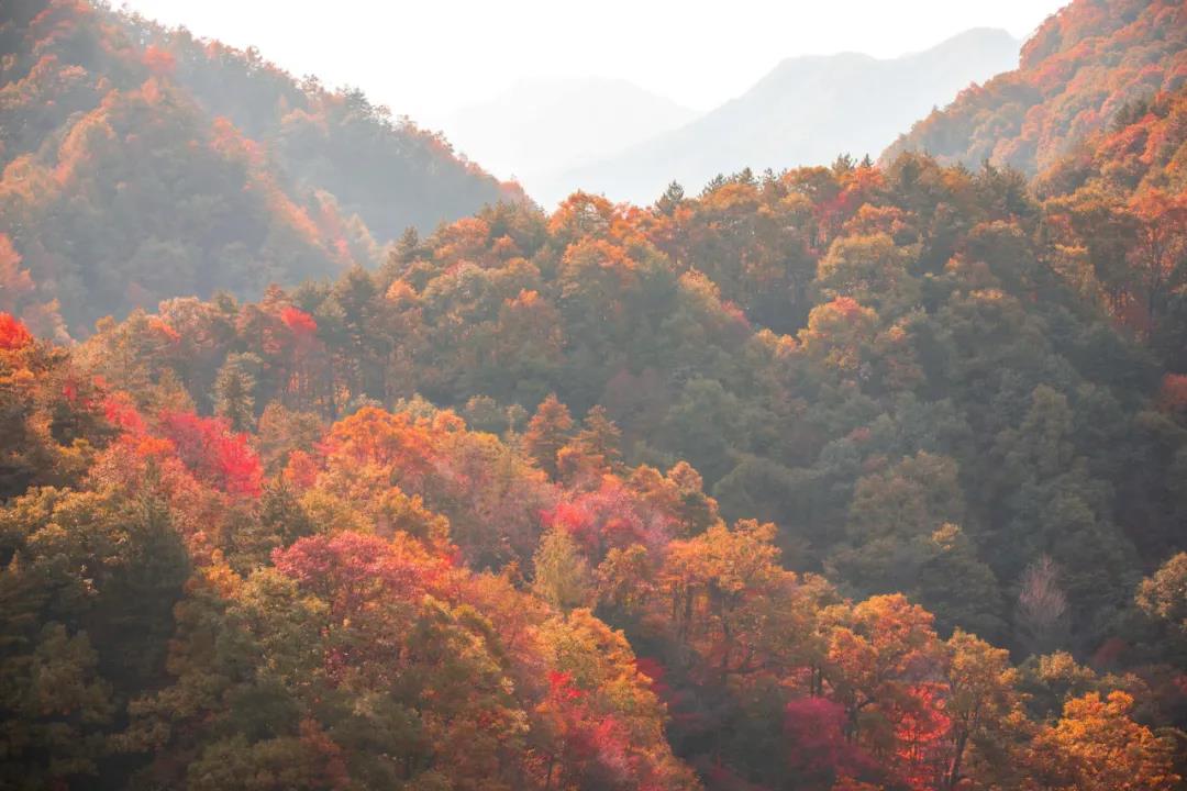 来人间仙境白云山，迎接秋天最后的回眸！