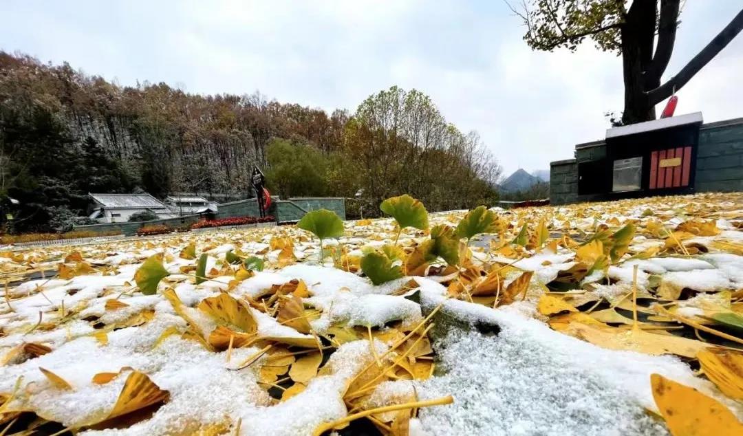 鸡冠洞初雪点缀在亿年仙宫！