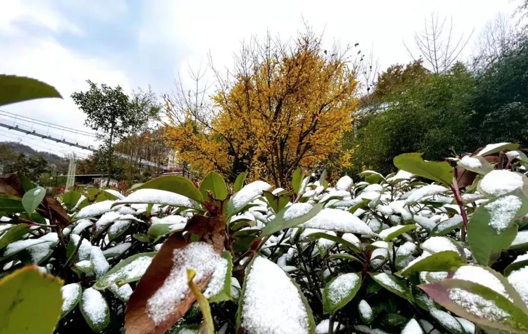 鸡冠洞初雪点缀在亿年仙宫！