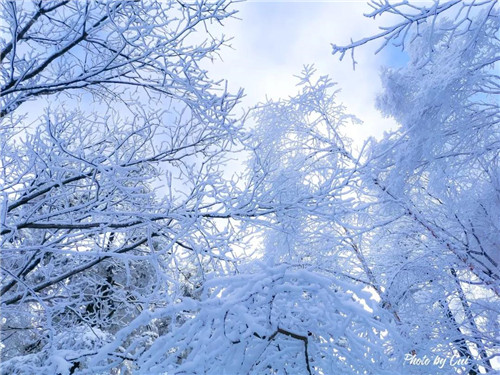 “踏雪赏冬”| 走进人间仙境白云山，遇见你向往的冬天！