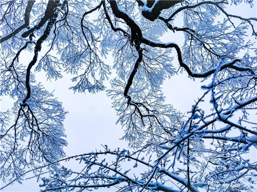 “踏雪赏冬”| 走进人间仙境白云山，遇见你向往的冬天！