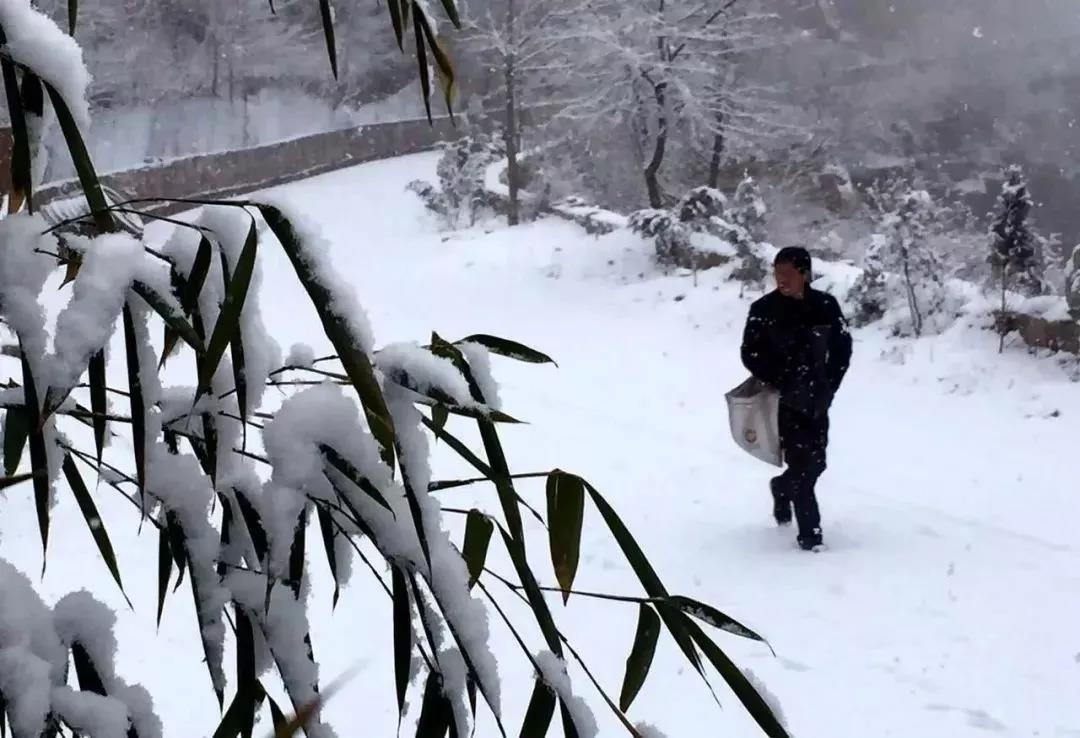 新乡南太行|不可错过的冬日限定美景(新乡南太行景区开放了吗) 新乡南太行|不可错过的冬日限定美景(新乡南太行景区开放了吗)
