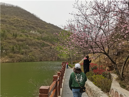 春暖花开好时节，大熊山仙人谷景区“熊山踏青赏花季”等你来！