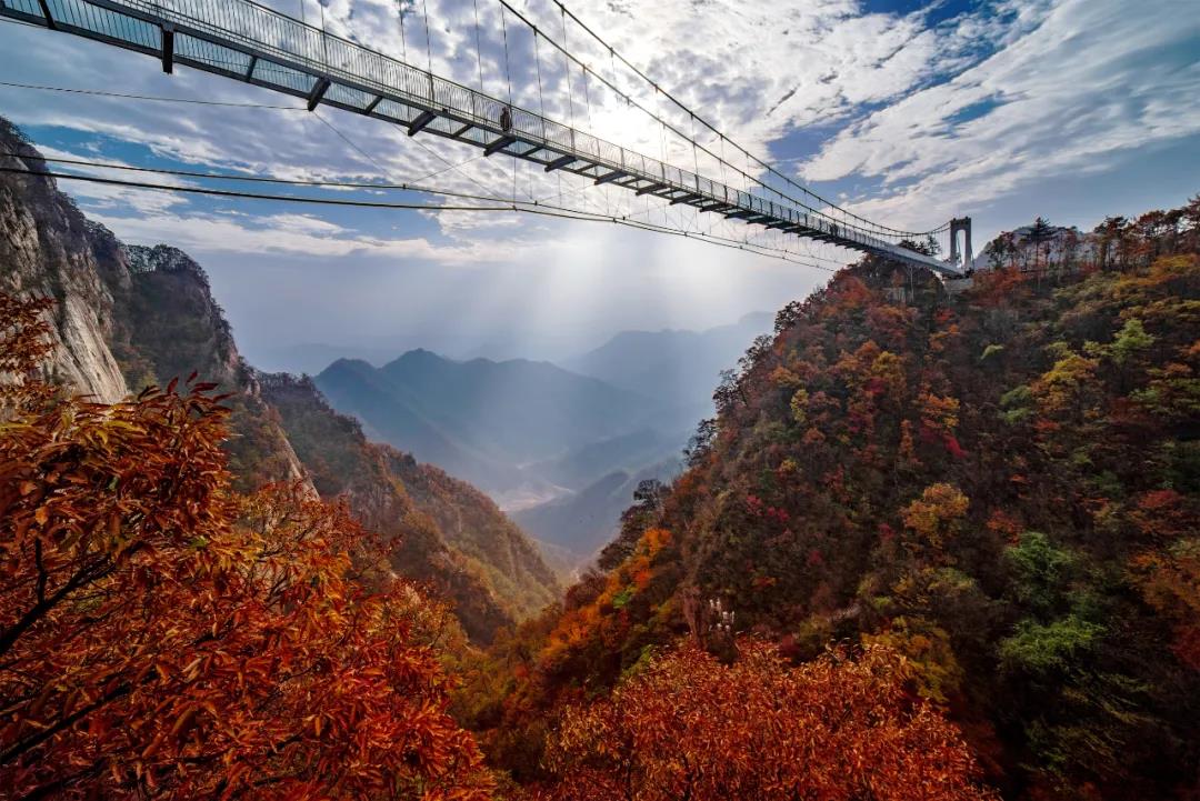入秋的第一场旅行,相约洛阳白云山,邂逅云巅秋色!(秋季出行的说说) 入秋的第一场旅行,相约洛阳白云山,邂逅云巅秋色!(秋季出行的说说)