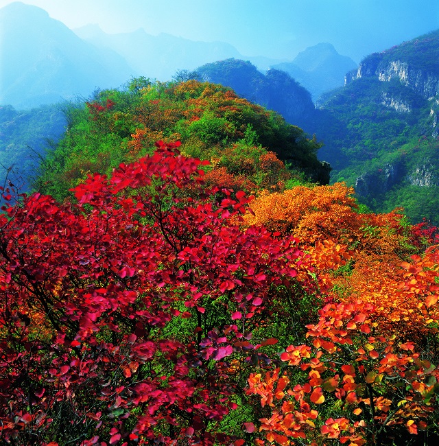 今日处暑，云台山秋日盛景即将华丽登场！（秋季云台山旅游攻略大全）