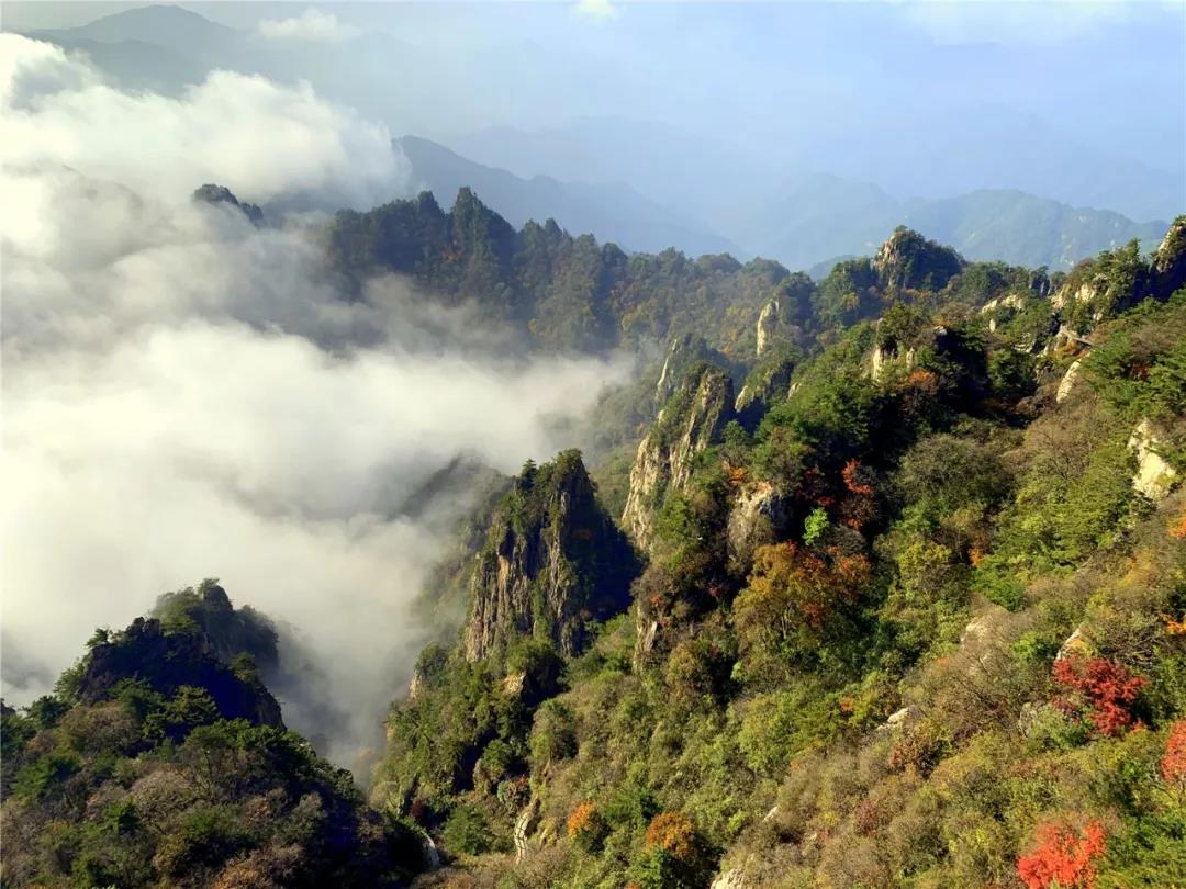 来老君山来场旅游，别让这个季节留下遗憾！