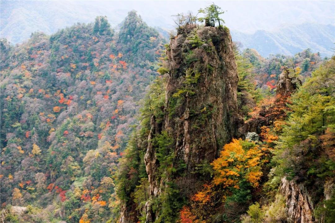 来老君山来场旅游，别让这个季节留下遗憾！