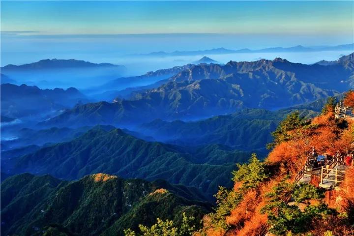 秋色渐染老君山，云海诱人如仙境！