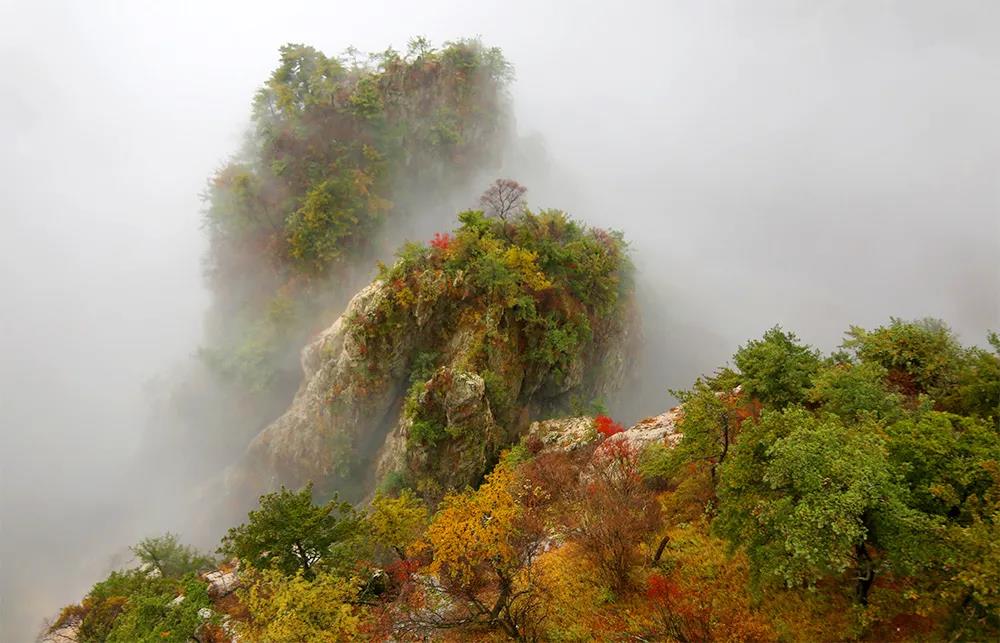 秋色渐染老君山，云海诱人如仙境！